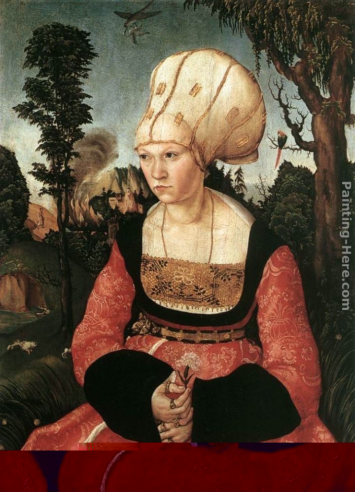 Lucas Cranach the Elder Portrait of Anna Cuspinian
